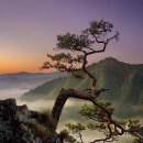 산중문답 이미지