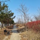 사염공원 이미지