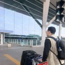 옐로우노트 | 티파니 노트목걸이 스몰 옐로우골드 무설탕![남편돈남편산 실사용후기~]