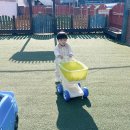 동물 볼링놀이해요/바깥놀이 이미지