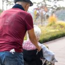 나은요양병원 | 소풍처럼 왔다가 요양병원 입원까지 하게 된 진솔한 후기