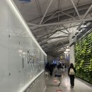 암소고개가든 | 1-1 인천공항, 펑라이 국제 공항 도착, 입국 심사 후기, 연태 공항에서 시내까지 디디 택시 타는 법...
