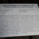 함평 해보리 석불입상 이미지