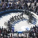 배재대학교 관광축제한류대학원 이미지