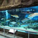 여수돔비치펜션 이미지