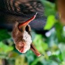 마로니파크 이미지