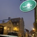 지M Tourist Hostel | 몬트리올｜퀘백에서 몬트리올 VIA RAIL｜M Montreal Hostel 후기｜크루 콜렉티브 카페｜몬트리올...