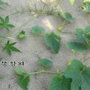 학의천변 이미지