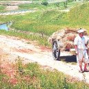 송남목장 이미지