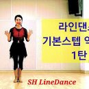라인댄스 이미지