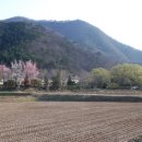 산계2리 이미지