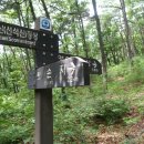 선석산 등산로 이미지