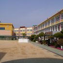 진영대흥초등학교 이미지