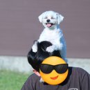 까사델뻬로 이미지