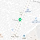 푸조와곰솔B