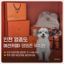 공항제일유치원 | 댕댕존 애견유치원 다녀왔어요! 영종도 애견카페 (ft.인천 하나개해수욕장)