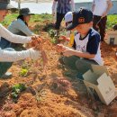 신의초등학교 병설유치원 이미지