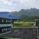 상주시화북면용화보건진료소 | 작은 공룡능선 묘봉(260725)