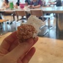 마고플레인 이미지