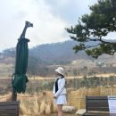 충청도 충주 골프장 일레븐cc 겨울 라운딩 후기