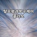 셀프시술로모발극손상 전체적으로 숱없고 얇고볼륨없는여성탈모 복구케어와탈모펌의콜라보/ 사상감전주례가야부암개금서면전포부전양정범일문현대연영도남 이미지