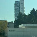 씨마호텔 | 강릉 씨마크호텔 웨딩(신부대기실, 웨딩홀, 주차,축의대, 하객맞이,ATM) 후기