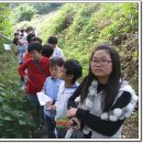 양대초등학교 이미지