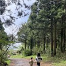 이호로1L | 3대가족 제주여행-마지막날