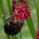 행복의아침 이미지