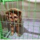 영도구-6 이미지