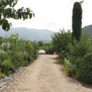 폭포민박 이미지