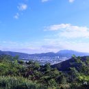 옥이이모 - 제주시 | 옥이이모