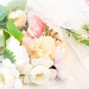 인천용현남초등학교자월분교장 이미지