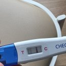 (주)영원중기 | 나의 임신기록 : 29주차 미쭈일기