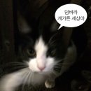 향수카페 네이버블로그