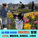 산리오 플라워카니발, 튤립축제, 퍼레이드, 사파리_36개월 아이와 함께 에버랜드