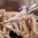 김진영농장 이미지