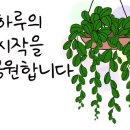 스타힐스중앙부동산공인중개사사무소 이미지
