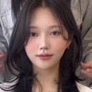 헤어비비디
