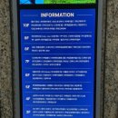 열두달펫 이미지