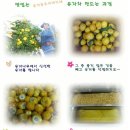 구천동 벌꿀 식품 네이버블로그