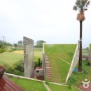 트로피칼드림 이미지