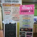 에코헤나디톡스 네이버블로그