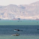 배들가축 이미지