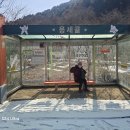 괴산-6 Daum카페
