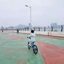 남천동 삼익비치 301동 앞 자전거대여소 이미지