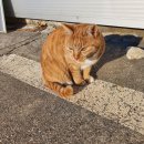 요섭농장 이미지