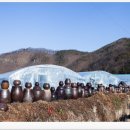 쌍림농장 이미지