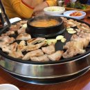 돼지소한마리 이미지