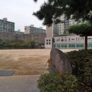 라온채공인중개사사무소 이미지